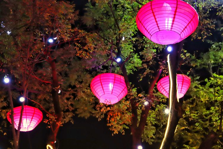 What camera lens falls is big the Tang Dynasty not nocturnal city, xi'an is the most beautiful night scene, come here if suddenly passes through days