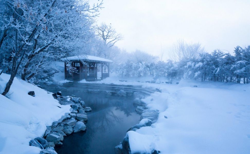 冬日有情还可爱，最美的冬日古诗词-第8张图片-诗句网