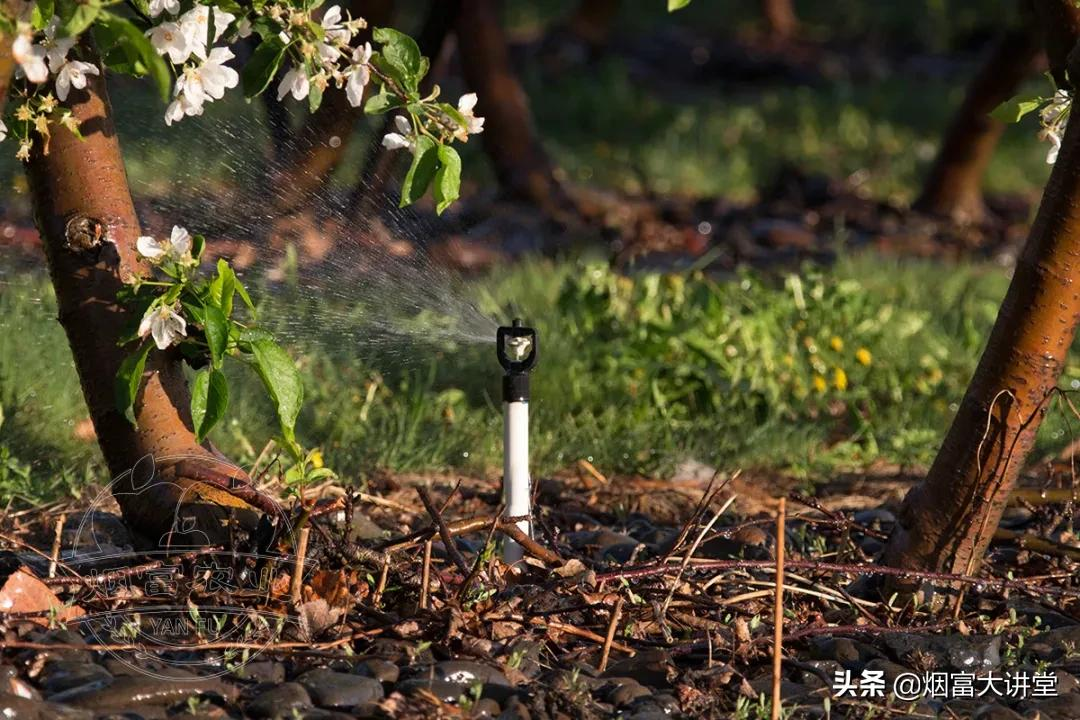 ۽磡֪ʶչ˪