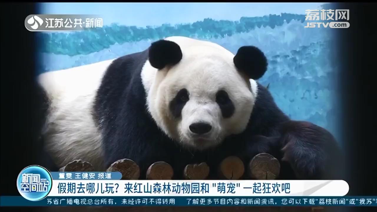 国庆假期去哪儿玩？来红山森林动物园和“萌宠”一起狂欢吧