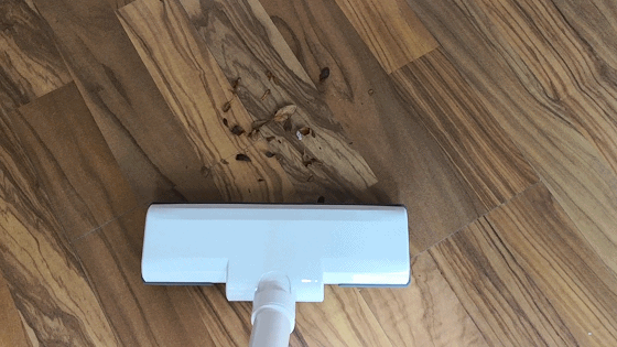 标准规格，便携体积，多种用途-清蜓便携吸尘器评测