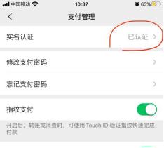 微信怎么设置面容支付（微信刷脸支付怎么开通）