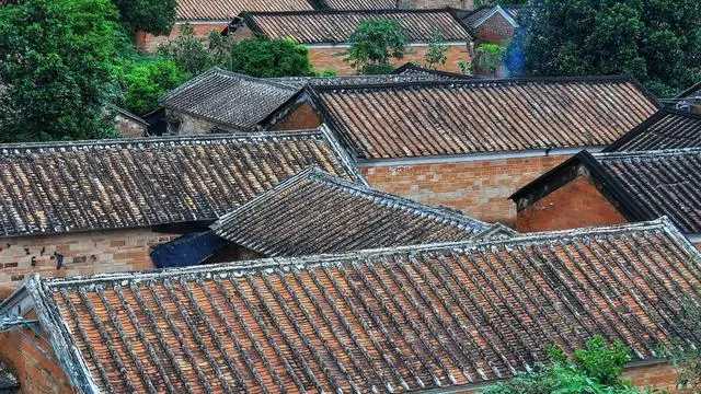 中国农民在减少，农产品为什么能增加？