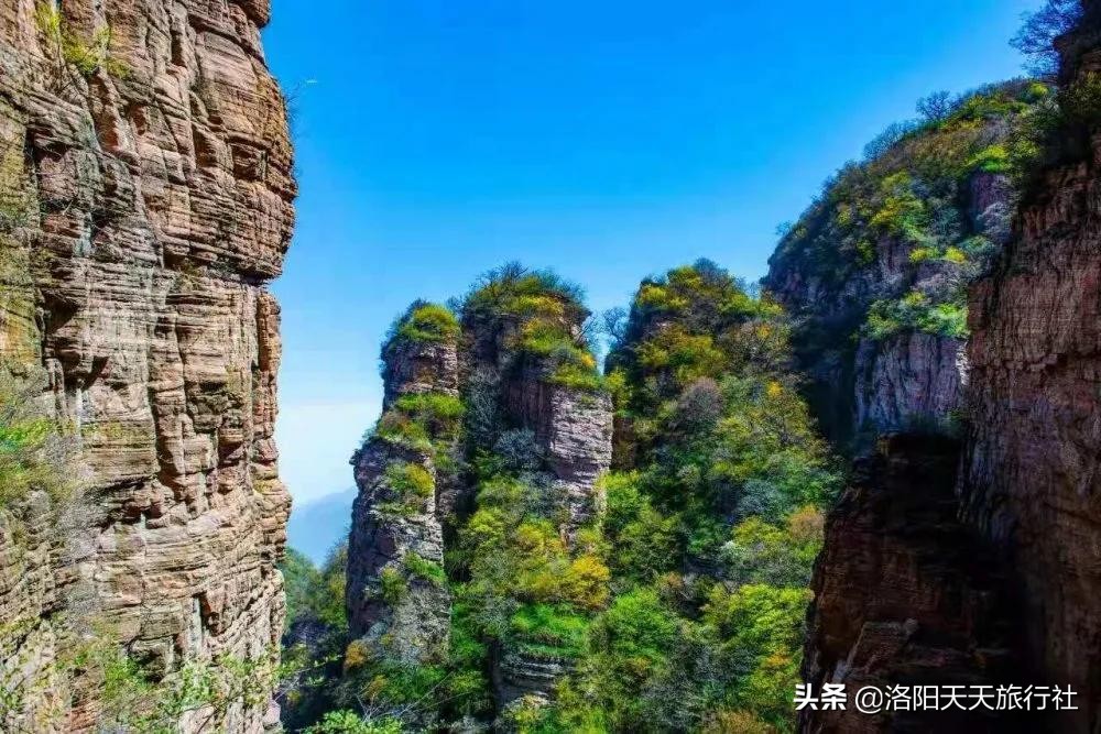 五一旅游推荐，中国白酒酒庄式景区「仰韶仙门山」洛阳直通车开通