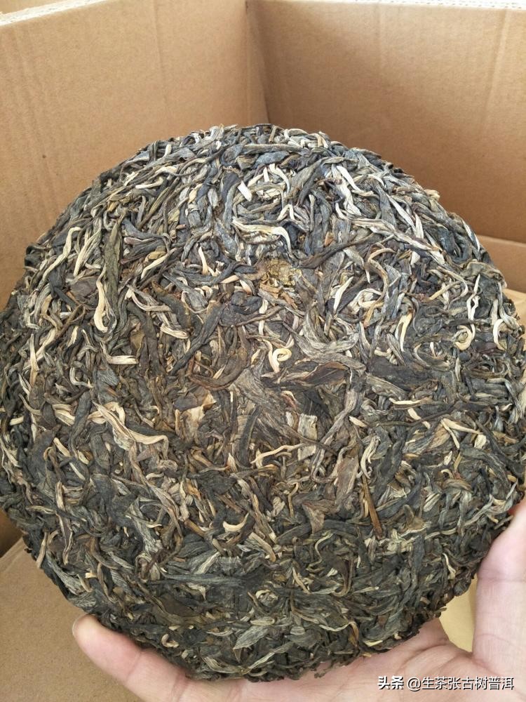 走进普洱茶临沧茶区，详细了解临沧各个茶山的特点，你喝过哪个？