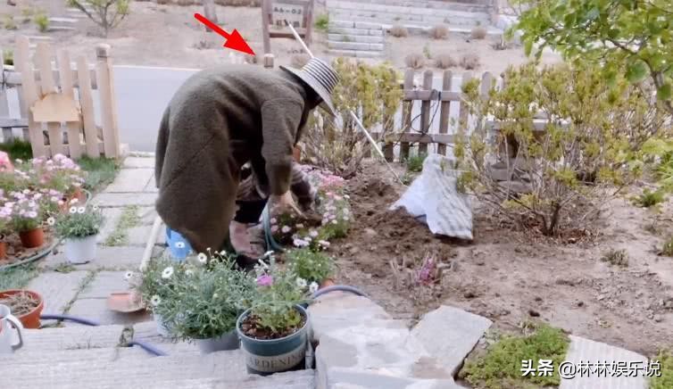 苗苗晒日常，家中豪宅惹人羡慕，看清怀孕后的