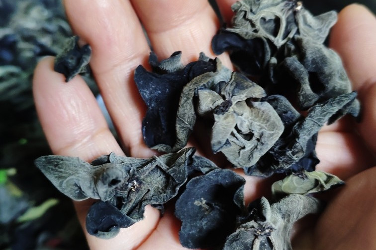 泡發木耳放冰箱裡保存，食用會中毒嗎？ 為了家人健康，不妨看一看