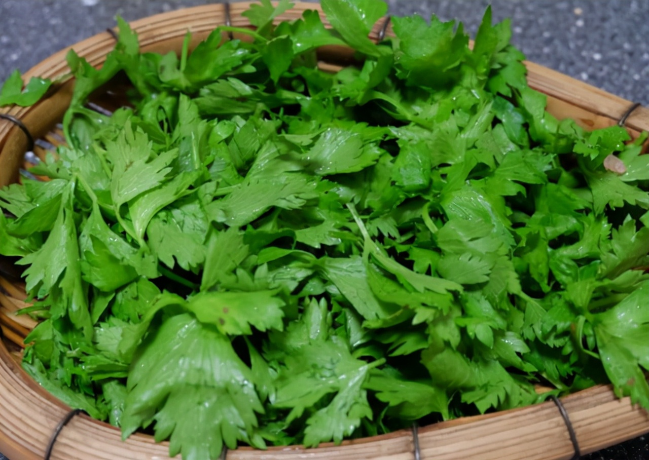 Why don't you eat celery leaves?For good health, it is to