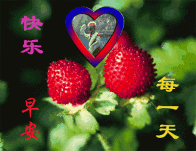 清新的空气，快乐的气息，将阳光呼吸，将幸福抱起，朋友，早安