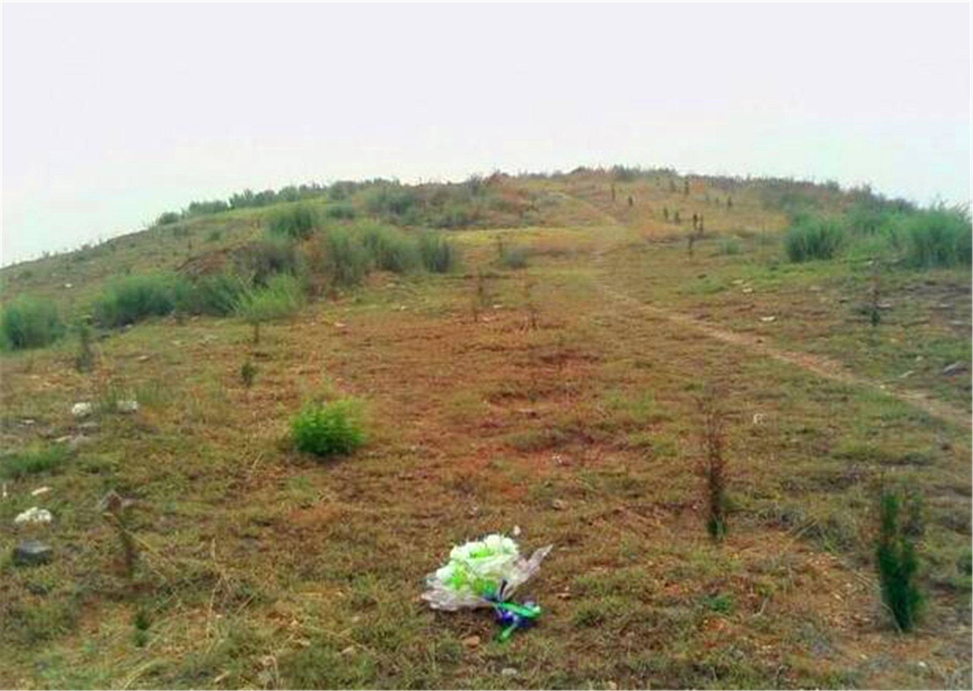 19岁少女被枪决前，突然主动张开嘴，众人疑惑，