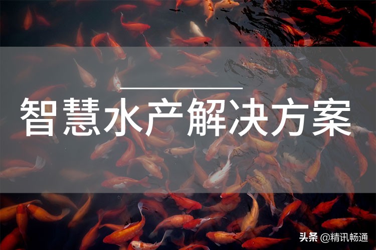 智慧水产养殖解决方案
