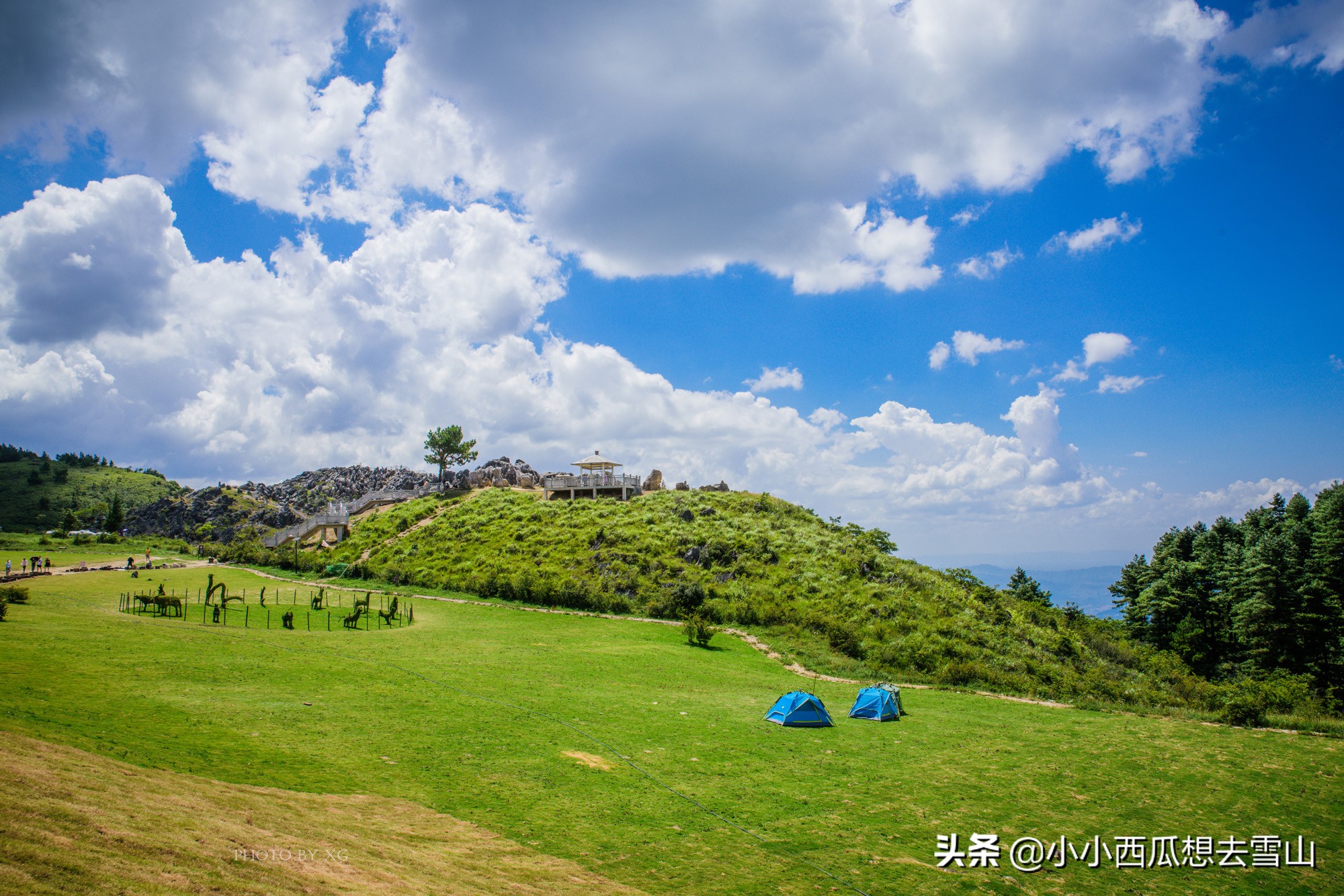 重庆不能错过的最美草场，夏季绝佳的避暑胜地，平均气温为23℃