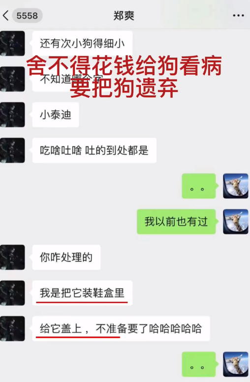 张恒再曝郑爽黑料，狗狗生病为省钱扔掉，伪造假机票找节目组报销