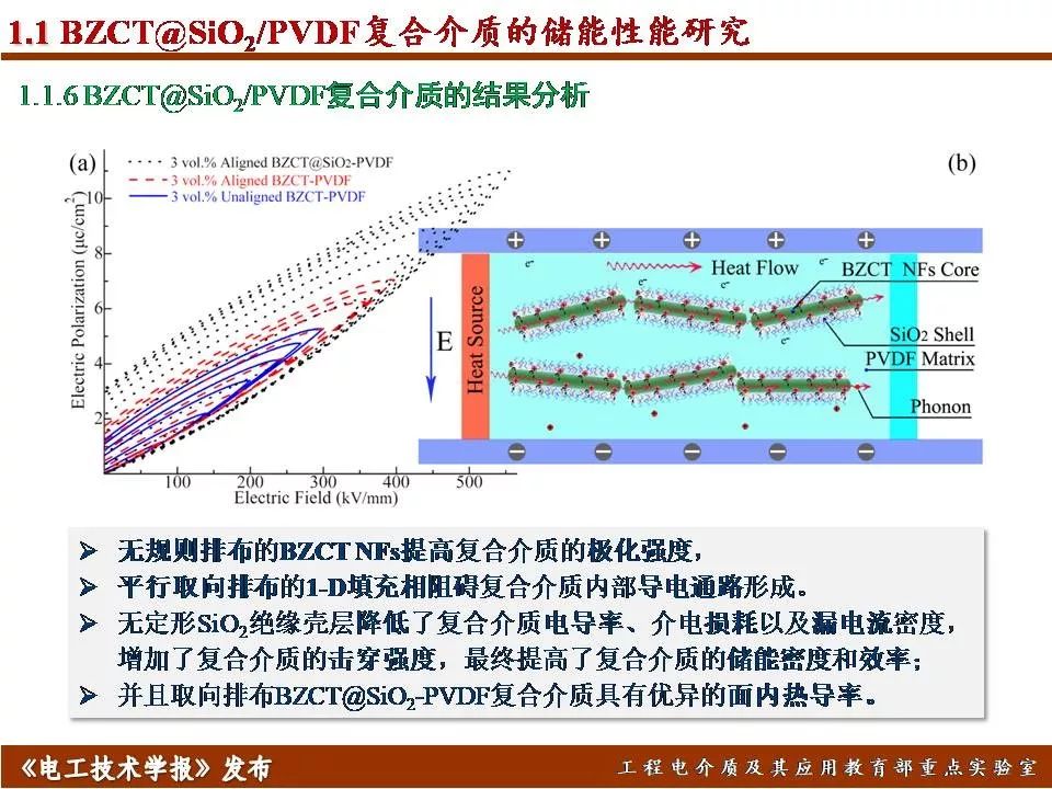 哈尔滨理工大学迟庆国：储能型聚合物基绝缘介质的效率与密度优化