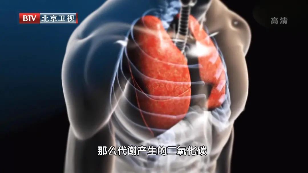 老慢支老不好，总是憋闷咳？这样吃和做，让呼吸更省力