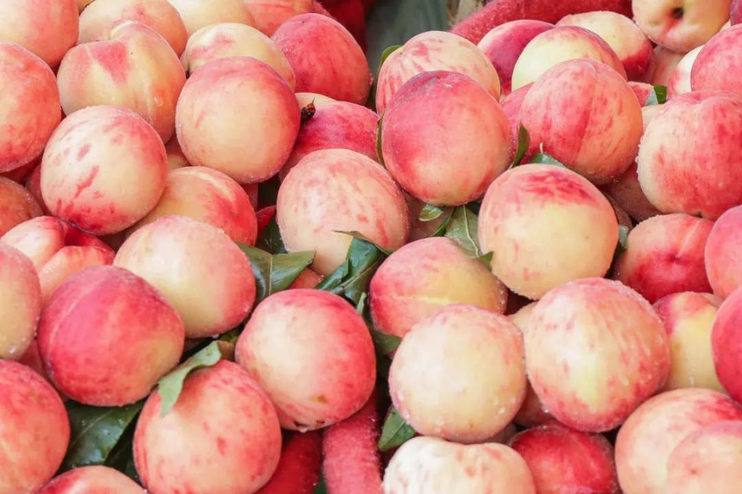 These 3 ways to eat peaches are too hurtful!Those who don't know should