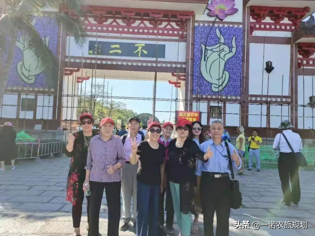 案例：乡村振兴项目政策和补贴