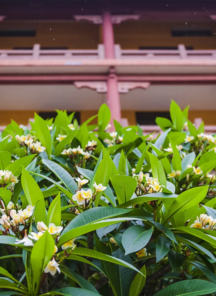 Impression of Shishi Temple in Xiamen: Qing Fang Jue Xia Shen - iNEWS