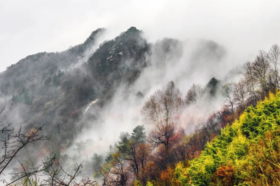 雨后必有奇觀，雞公山開啟看海模式