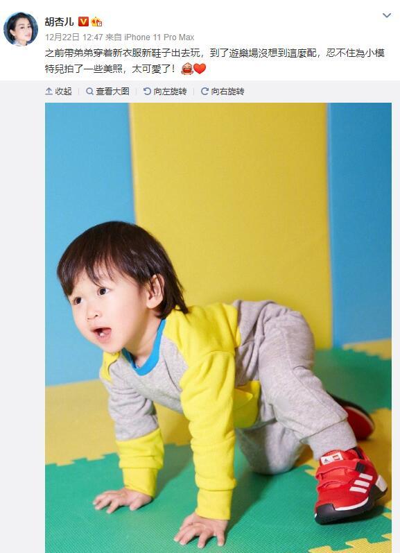 恭喜！胡杏儿手捧孕肚宣布怀上三胎，婚后四年抱三速度迅猛