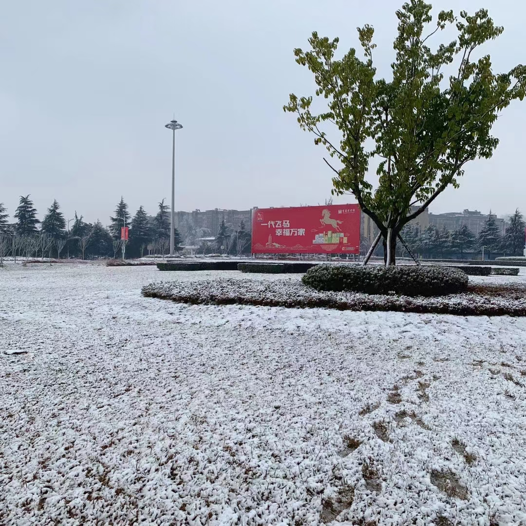 今天，咱们万州下雪啦！不！是垫起了厚厚的白白的雪