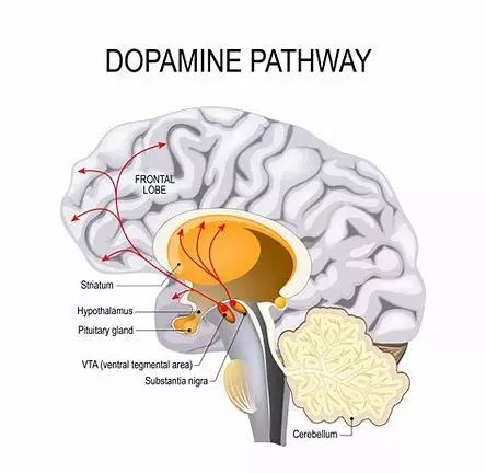 沉迷游戏不可自拔？理清行为上瘾的4大原因，轻松戒掉游戏瘾