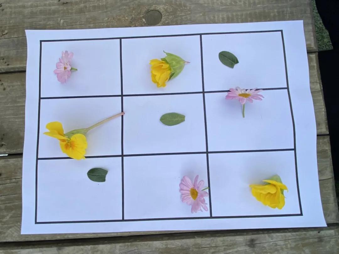 巧用天然材料，感受自然之美丨天府新区华阳幼儿园开展户外活动