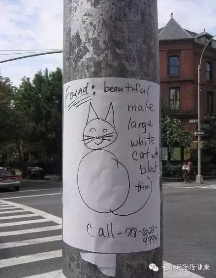 我收集的这些寻猫启示脑洞太大了,我就想问,你画的是什么?
