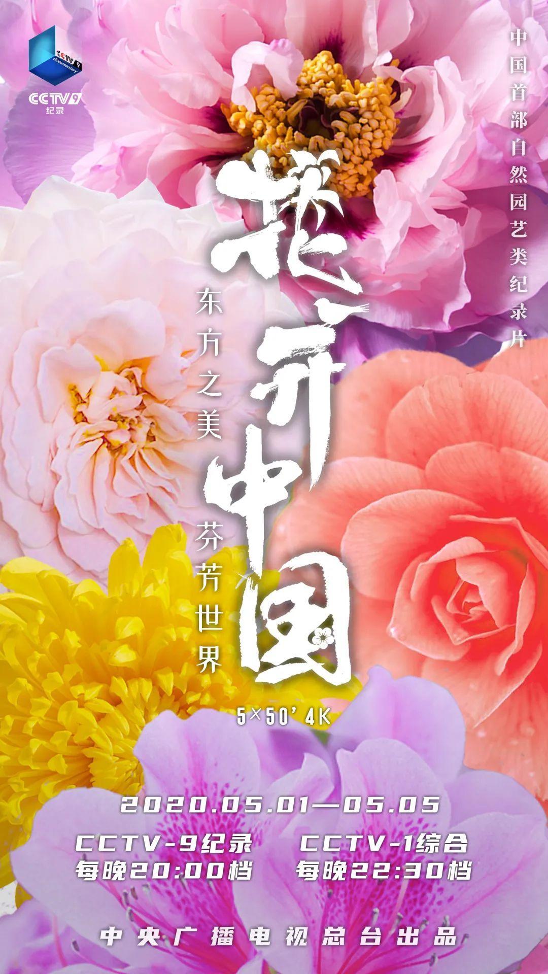 无鹃不成园之杜鹃 20:00【花开中国 2】