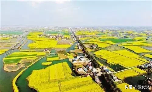 当涂县属于哪个市(当涂县的历史概述)插图31 马鞍山当涂,曾统领芜湖500年
