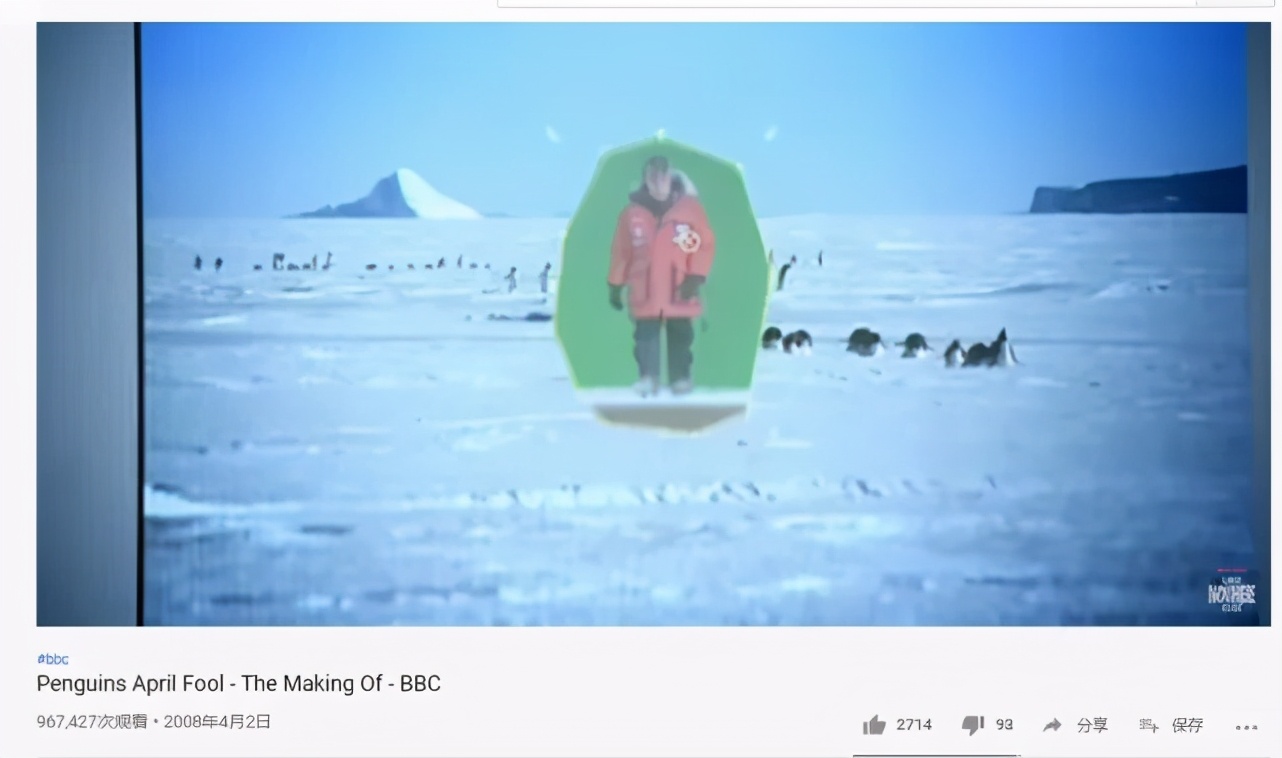 飞翔的企鹅成群掠过冰川？是真的吗？