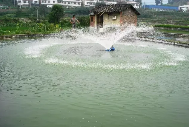 魚(yú)成群游水不下沉有這六大原因！稍微不慎，會(huì)造成大量死魚(yú)