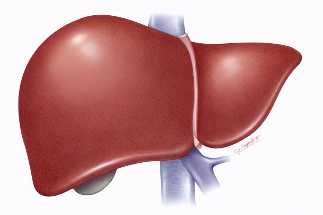 養肝要趁早，日常飲食多注意，這三種�傷肝蔬菜�建議少吃