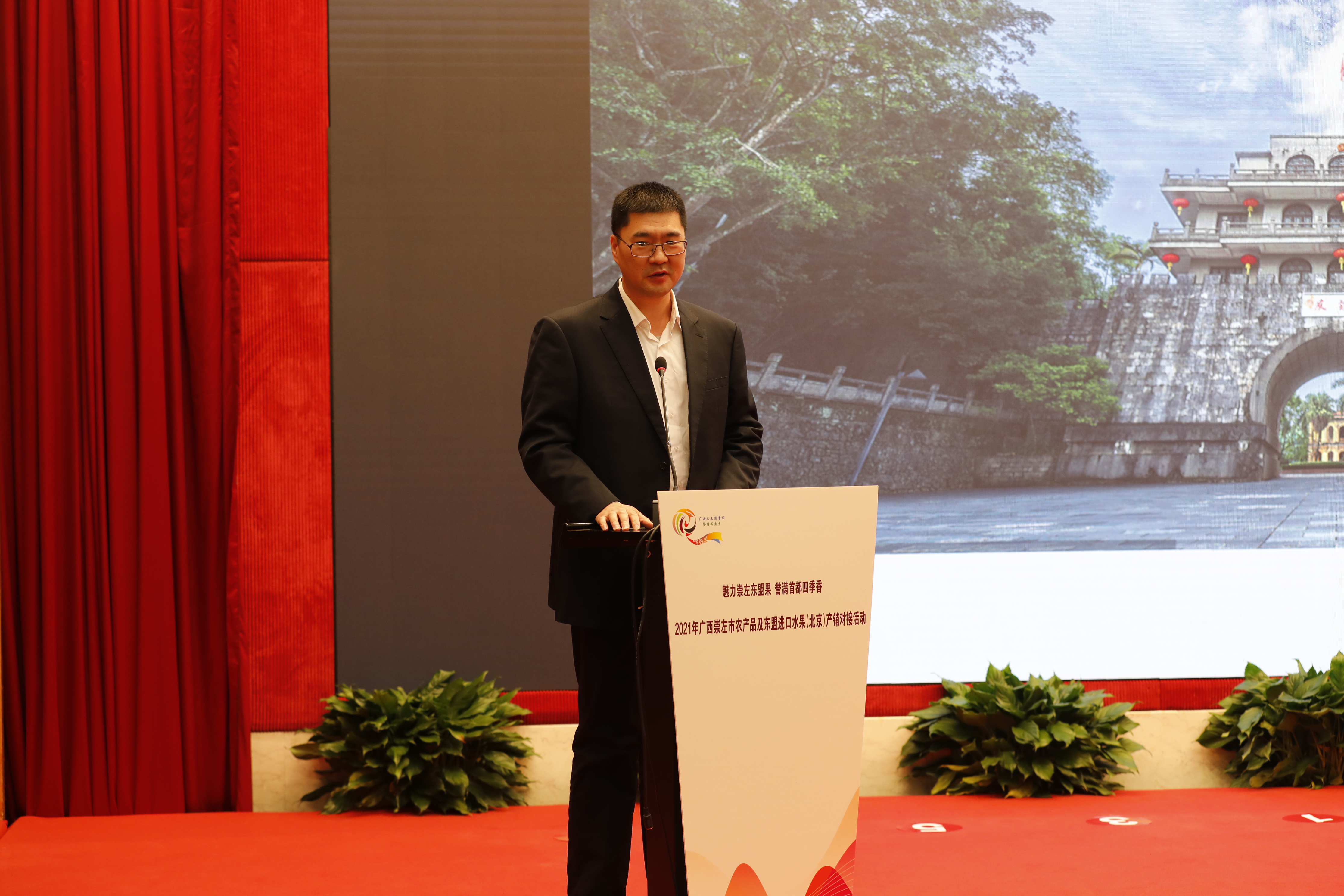 魅力崇左东盟果，凭祥直发进万家