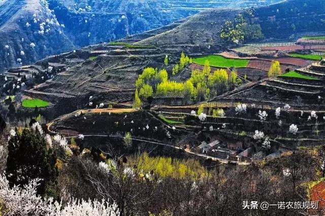 乡村4.0，应从宏观、中观、微观几方面构建一个综合体系