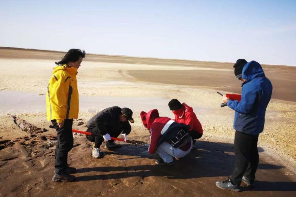 The gradual recovery of Lop Nur, China's former nuclear weapons test ...