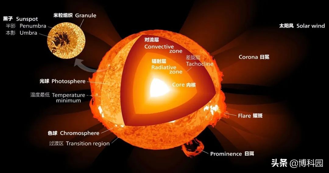 像洋葱一样，在太阳内部是分层的，而且热量传输由等离子体流主导
