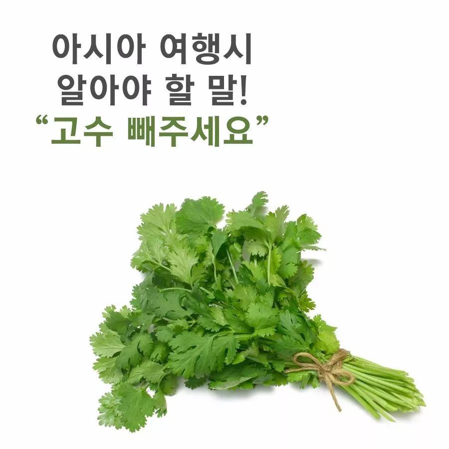 你不爱吃香菜，同样韩国人也不爱吃香菜？专家告诉你答案