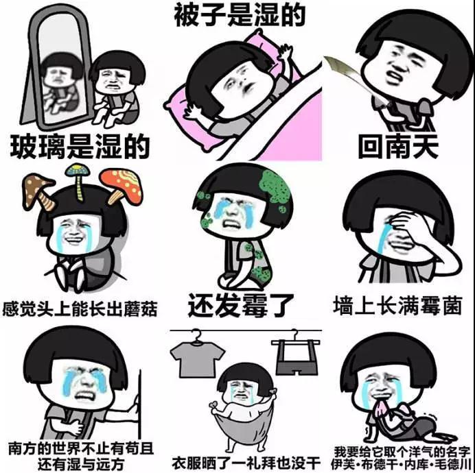 离谱|回南天有多离谱 什么是回南天？