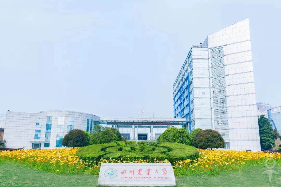 重庆考生最喜欢报考哪里的大学？本地很吃香，成都是第二优选