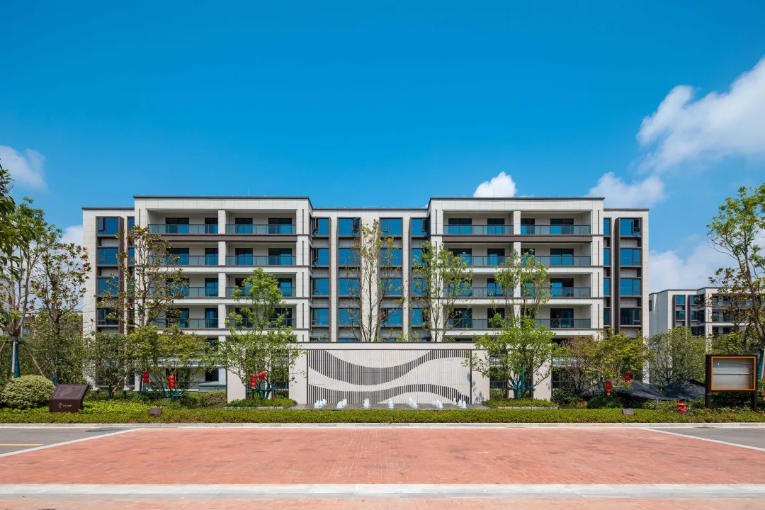 曾经播下的希望种子，此刻已枝繁叶茂