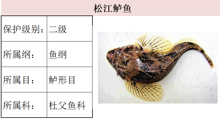 国家最新水生野生保护动物名录(共计三百余种)---1