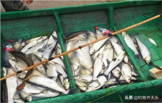 武汉男子在长江电鱼，结果被抓！网友：钓鱼都不让你还敢“电”