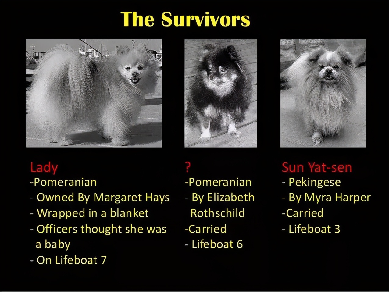 关于狗子的21个神奇冷知识，知道一半的都很了不起