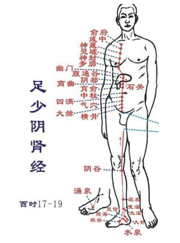 身体小毛病，按压8穴1经，帮助你预防小病变大病-第9张图片-农百科