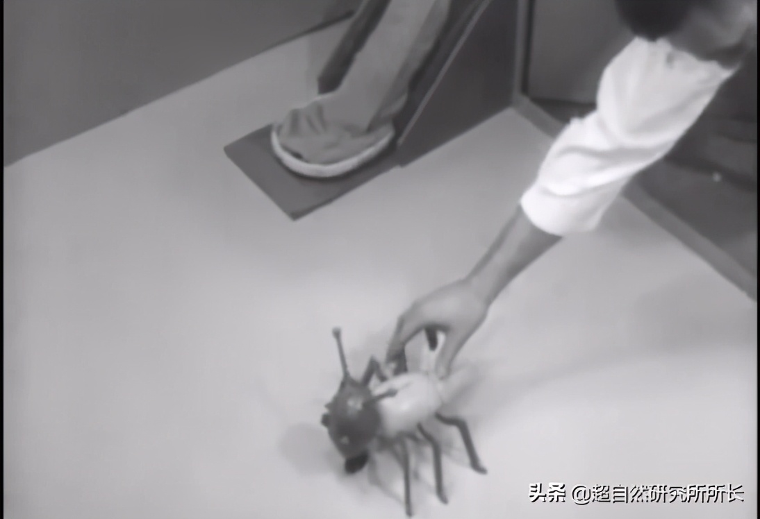 三個直擊你心靈的實驗，請直麵你的內心