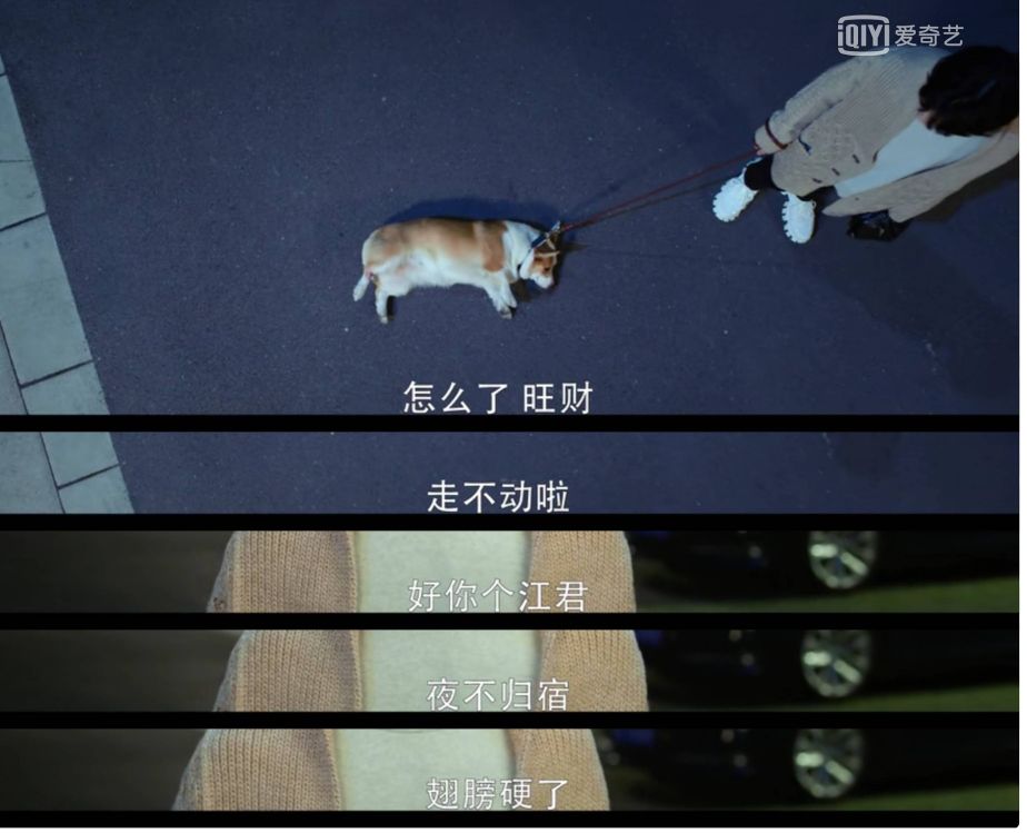《半是蜜糖半是伤》真的是糖分满满啊！好甜，看的很上头！