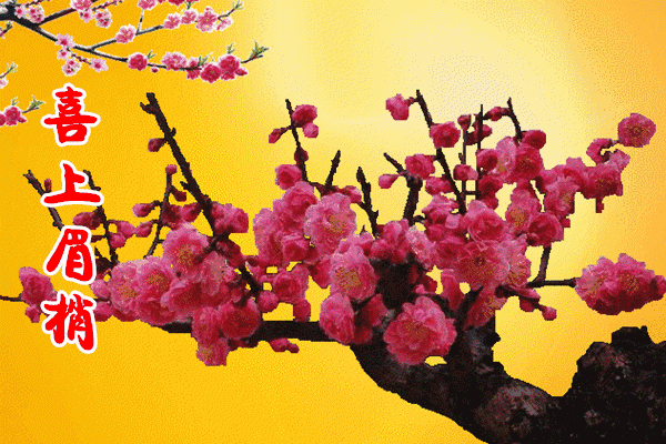 迎喜|大年初四迎喜神,吉祥喜鹊送给你 祝亲友一整年喜上眉梢喜事连连