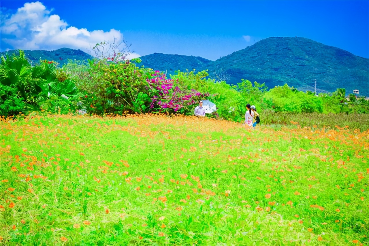 冬天旅行首选目的地，三亚吃喝玩乐全攻略，给你最悠闲的海岛时光