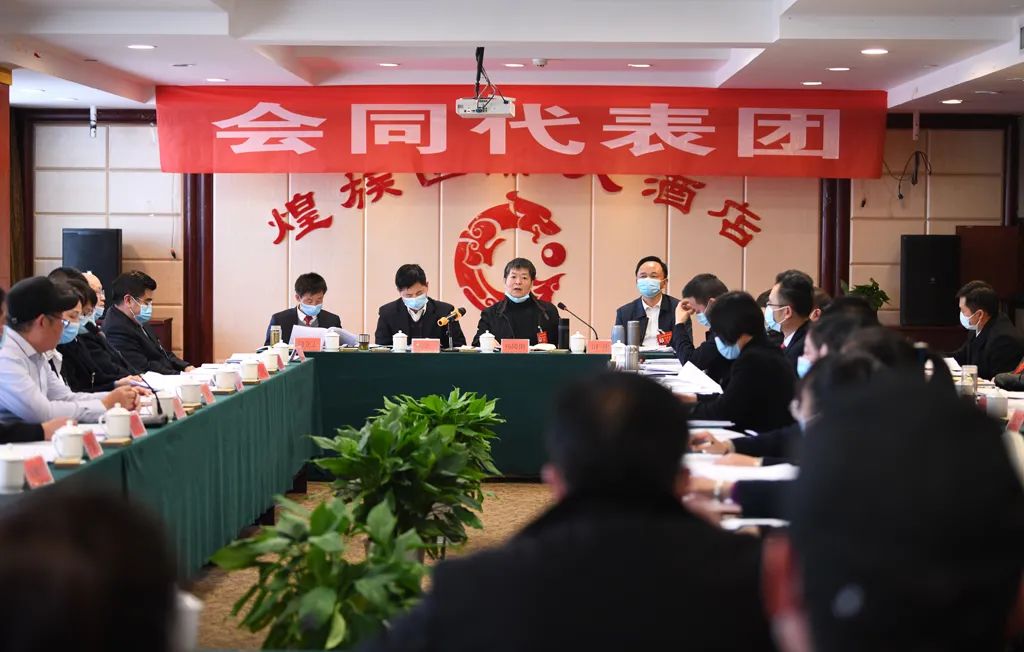 【图片新闻】市五届人大五次会议各代表团举行分组讨论